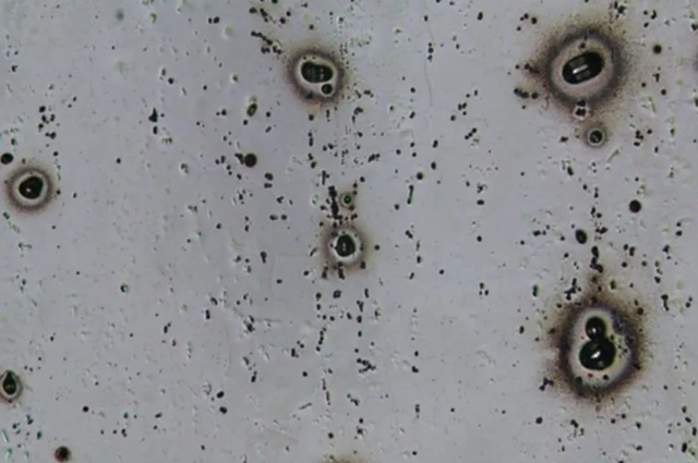 點(diǎn)腐蝕試驗